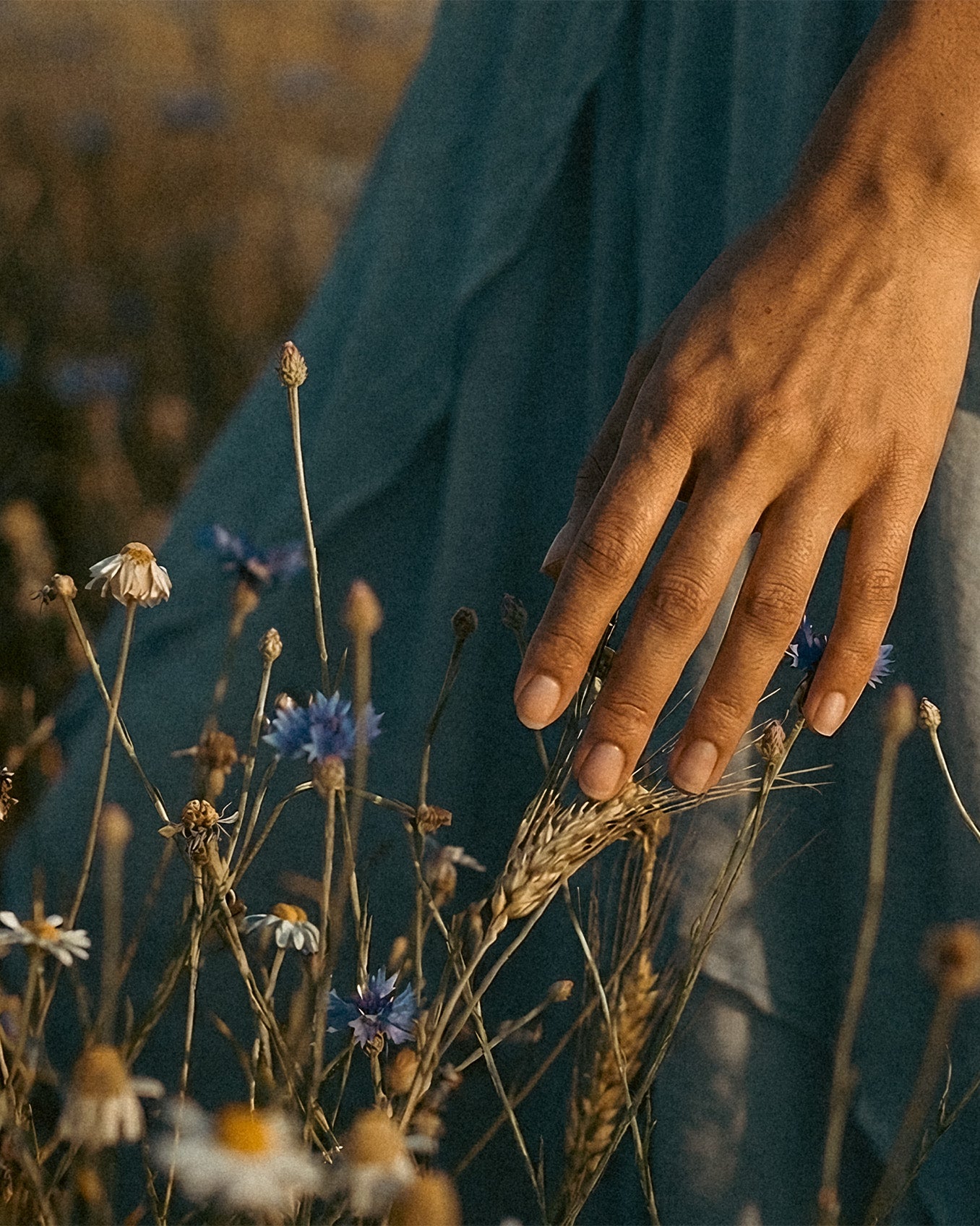 Aria Blouse in Baby Blue